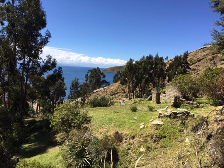 13434860_10209181571673366_6644454879431987523_n