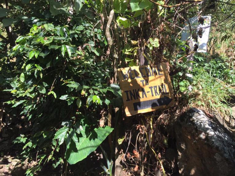 13418979_10209181577313507_1398984959059985587_n