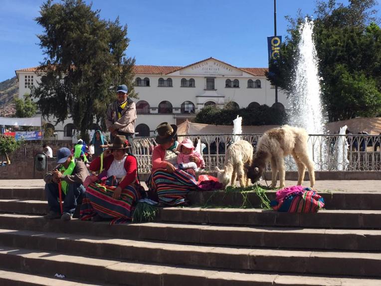 13432451_10209181621954623_2263481820697306137_n