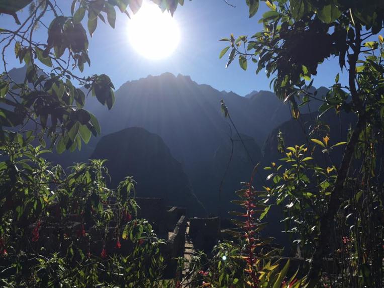 13435525_10209181617114502_2976287602485760172_n