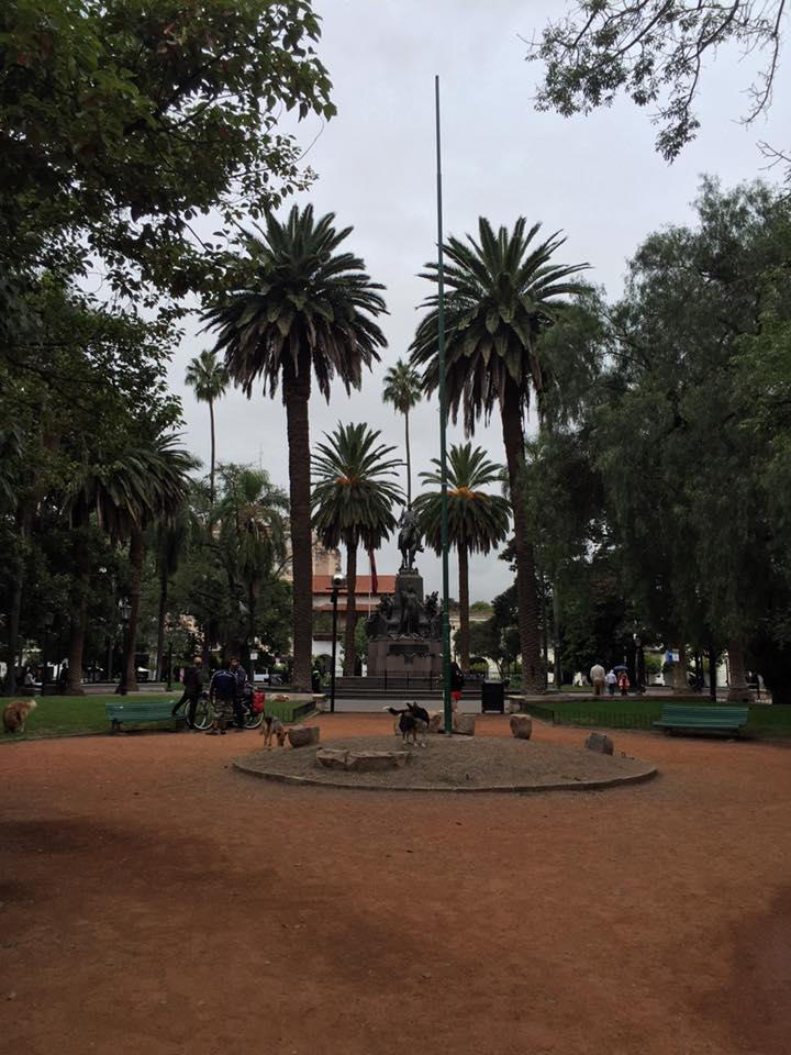 13450728_10209181499511562_8791074165881093914_n