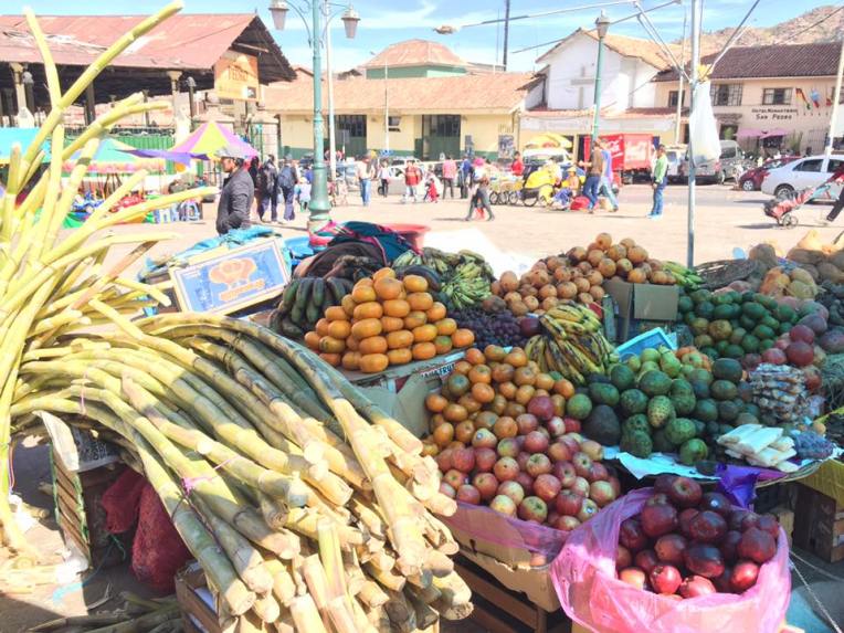 13466073_10209181623034650_5271392144650640958_n