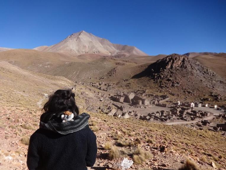 13442265_10208772508125980_4759834771704606178_n