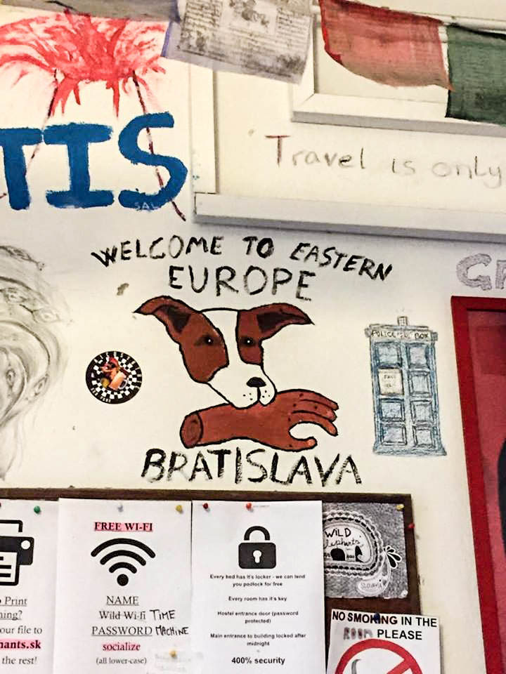 15310180_10210826080825067_1250796419_n