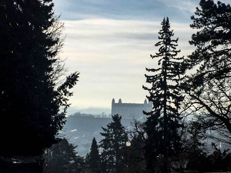 15328342_10210854103045605_1487233718_n