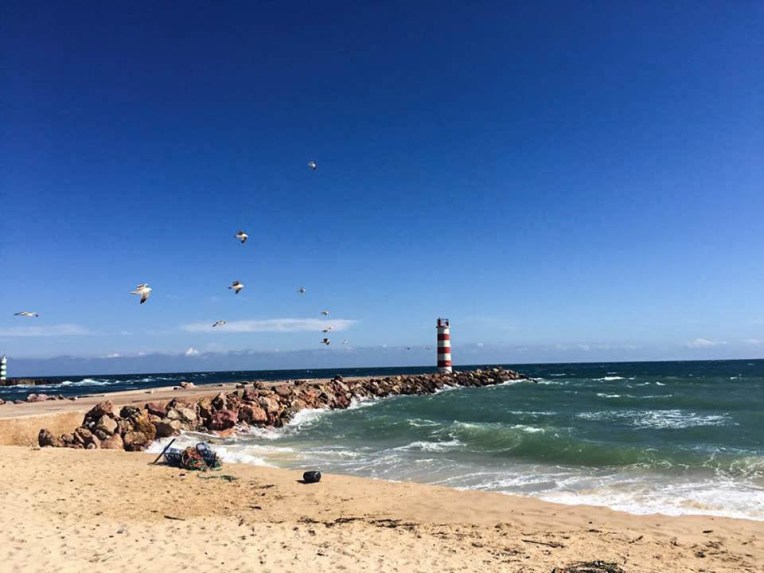 18983233_10212683611582175_823797488_n