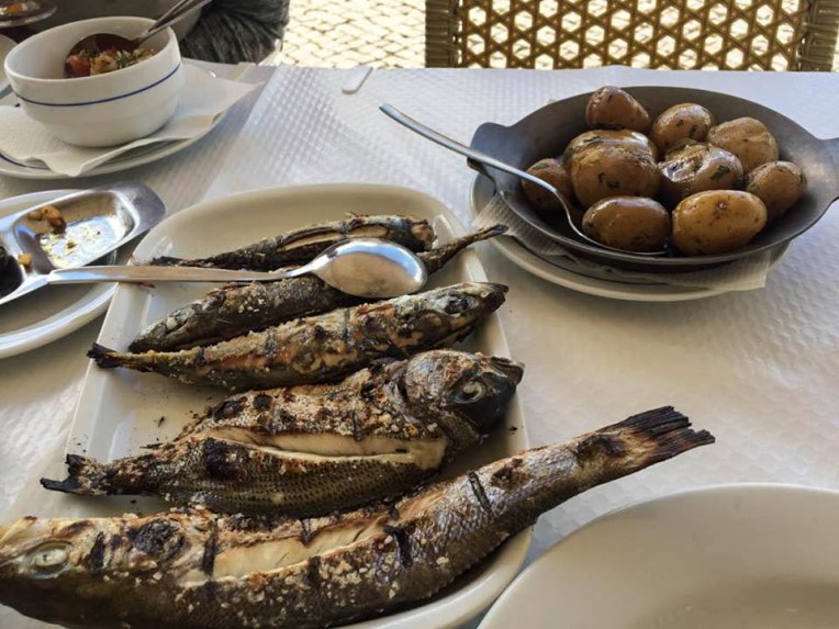 18983367_10212683611462172_148899478_n