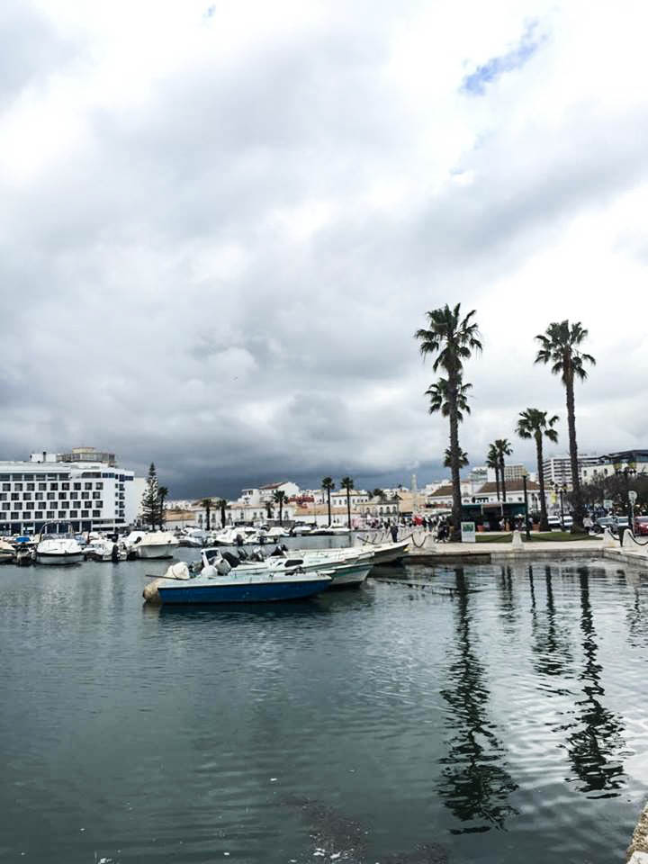 19021548_10212683612342194_1833064875_n