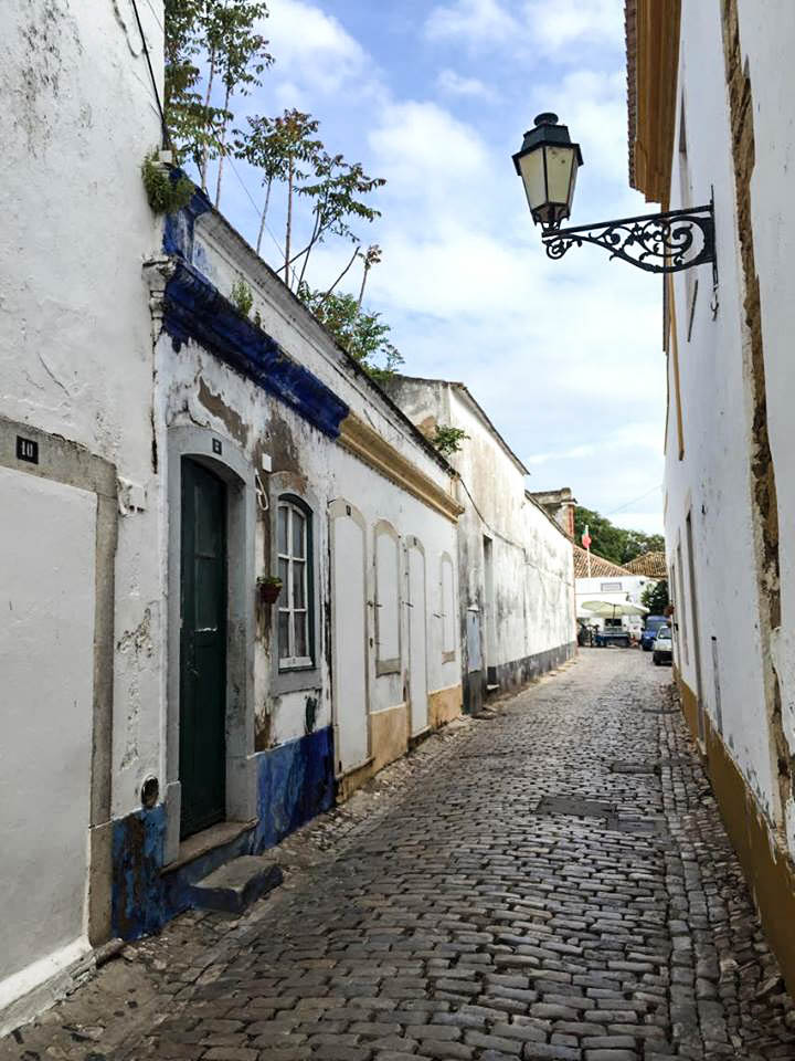 19021836_10212683612582200_1028586758_n