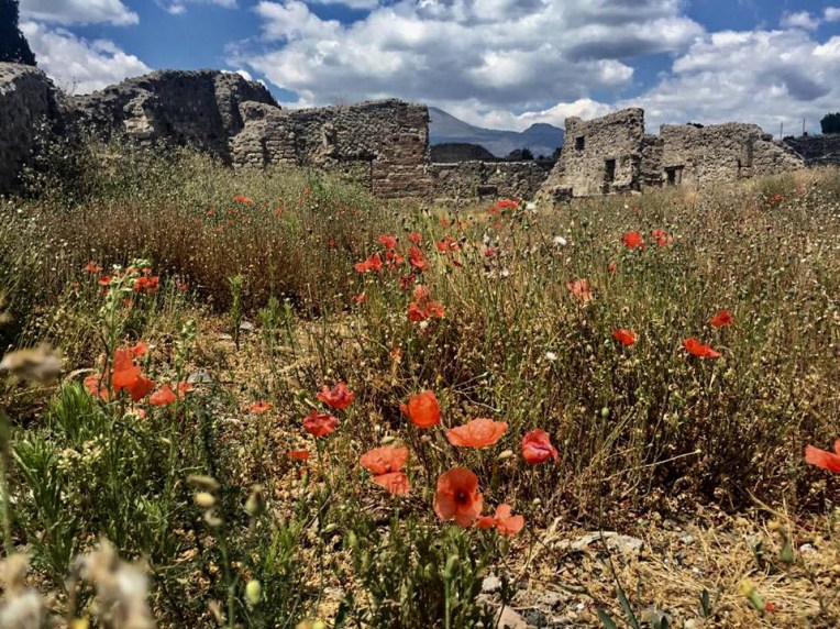 19074984_10212711139190348_417684349_n