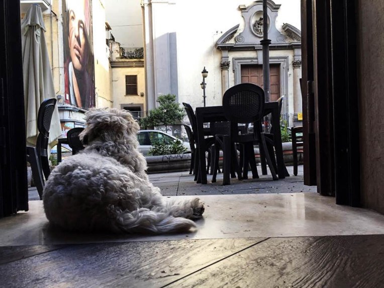 19075130_10212711147310551_1645301504_n