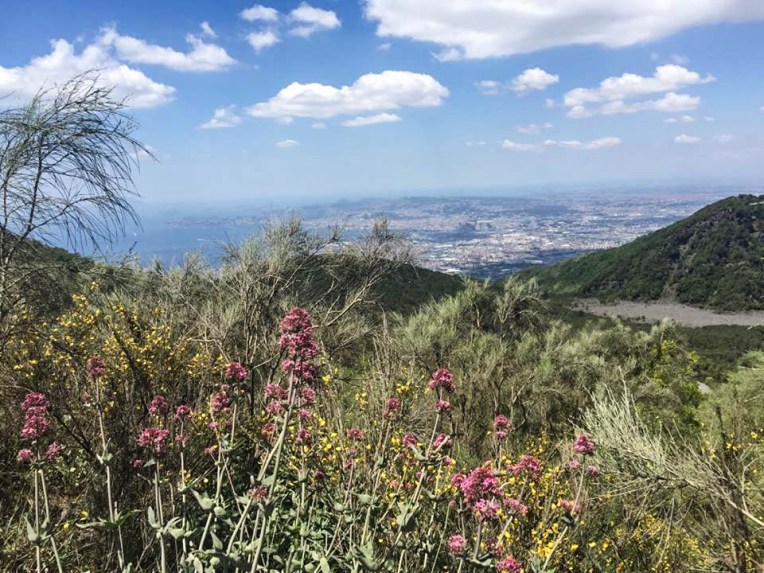 19075293_10212711128550082_1824419004_n